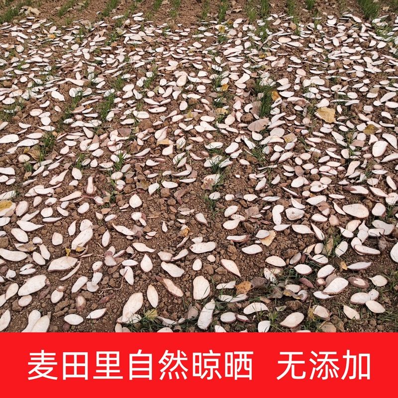 河南特产生红薯干白心农家自制地瓜干番薯干煮粥稀饭天然地瓜片5