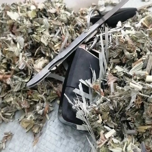 鲁山县中前期全棵艾切段0.5-0.8刀口漂亮