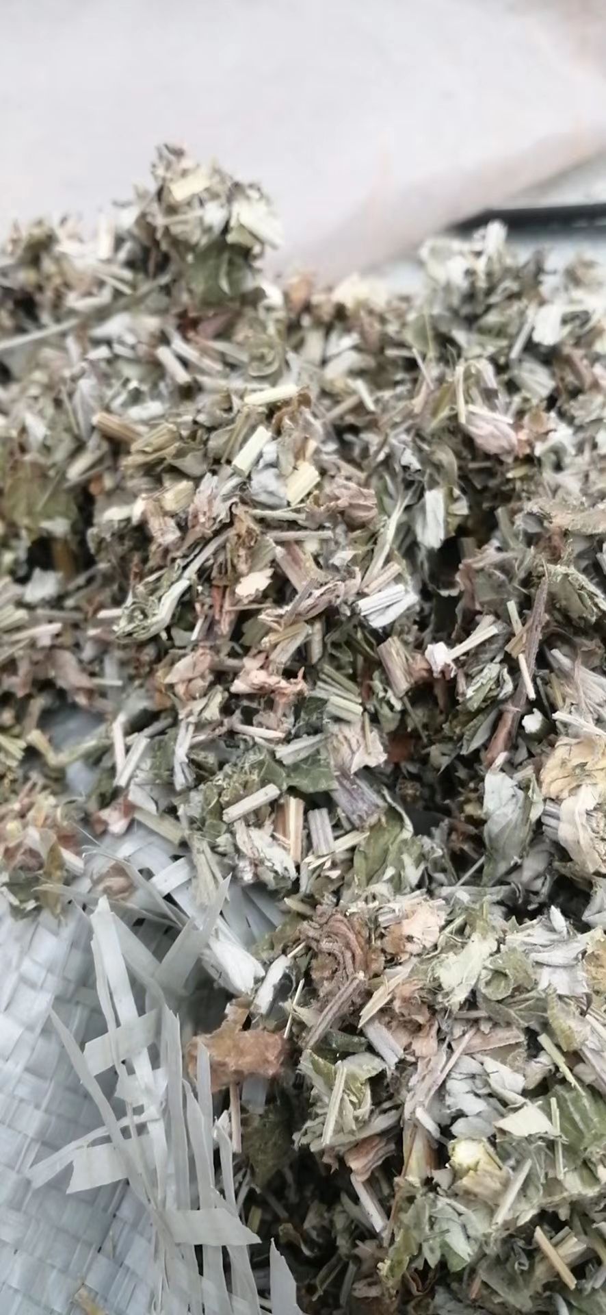 中前期全棵艾切段0.5-0.8刀口漂亮