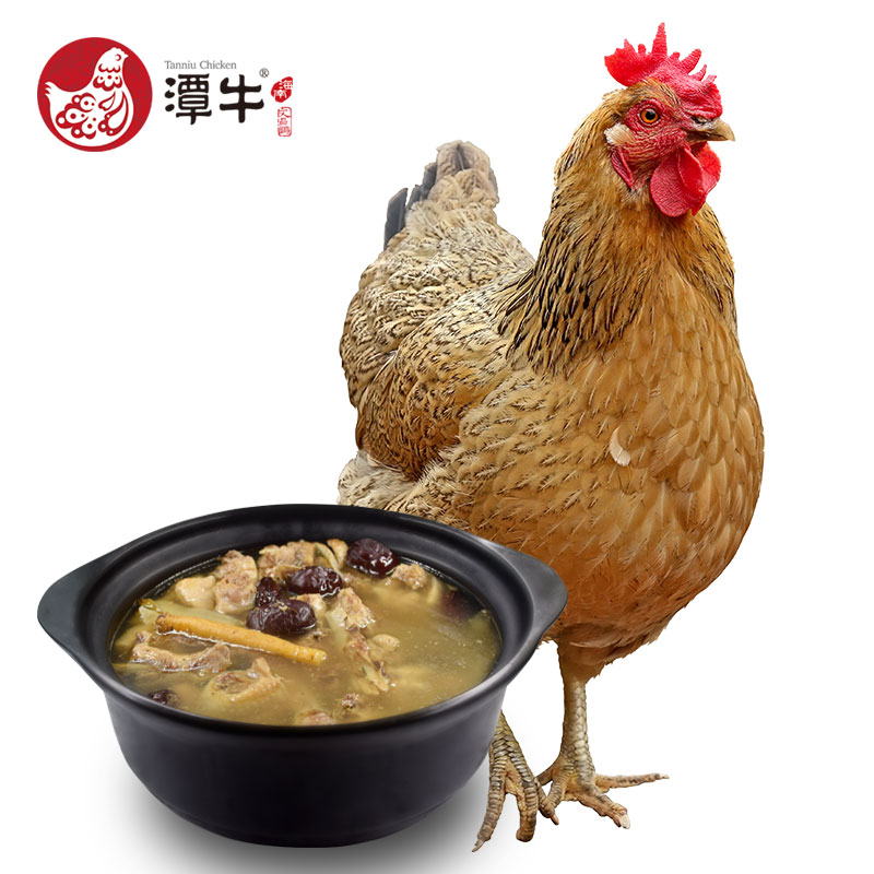 海南正宗潭牛文昌鸡，专业供酒店白切鸡原材料，养殖场一手货源