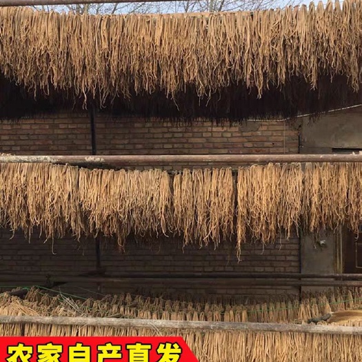 陇西县党参 当年鲜货