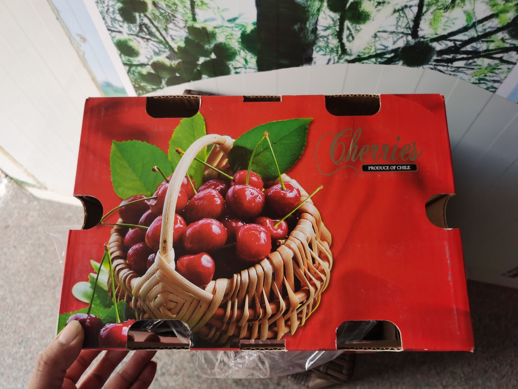 澳洲车厘子Cherry hill  智利车厘子心型铁盒包装 大中小规格详情咨询