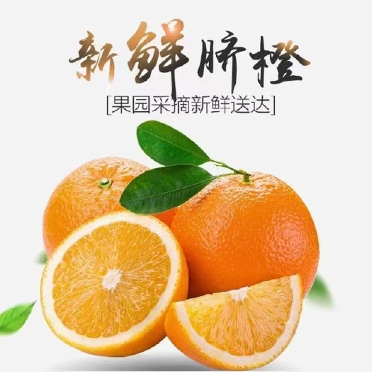 重庆市自家果园产的脐橙，现摘现卖，欢迎新老客人订购。