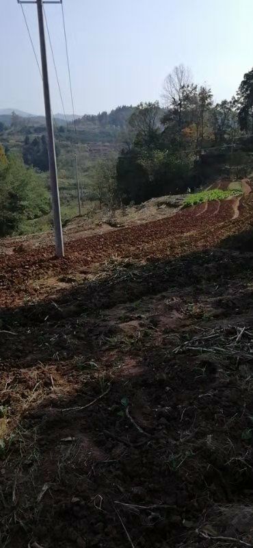 山地  农村土地流转，菜地，高山熟地，旱地出租，耕地寻求合作