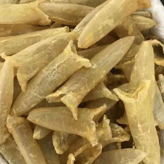 湛江花胶  25头左右巴沙胶筒，胶质好又爽口