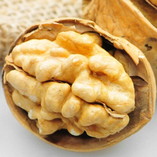 新货新疆纸皮核桃薄皮核桃厂家直销批发一件代发