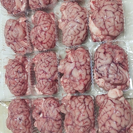 大厂县羊脑 白山羊 羊对脑