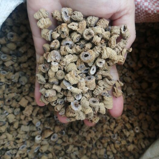 德庆县水洗巴戟中剪粒