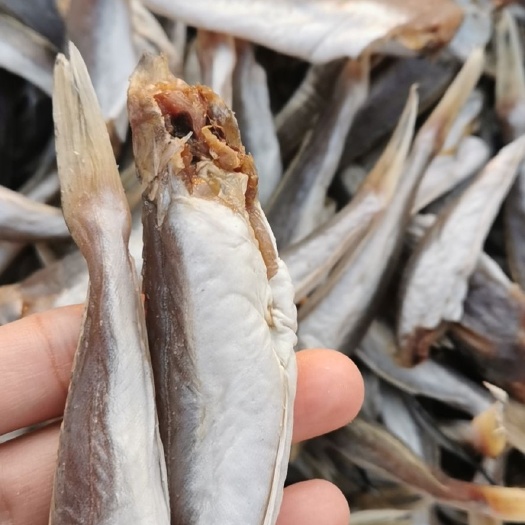 滨州红头鱼（去头），咸鱼，自加工晾晒，可蒸可炸可煎可炖，味美鲜香