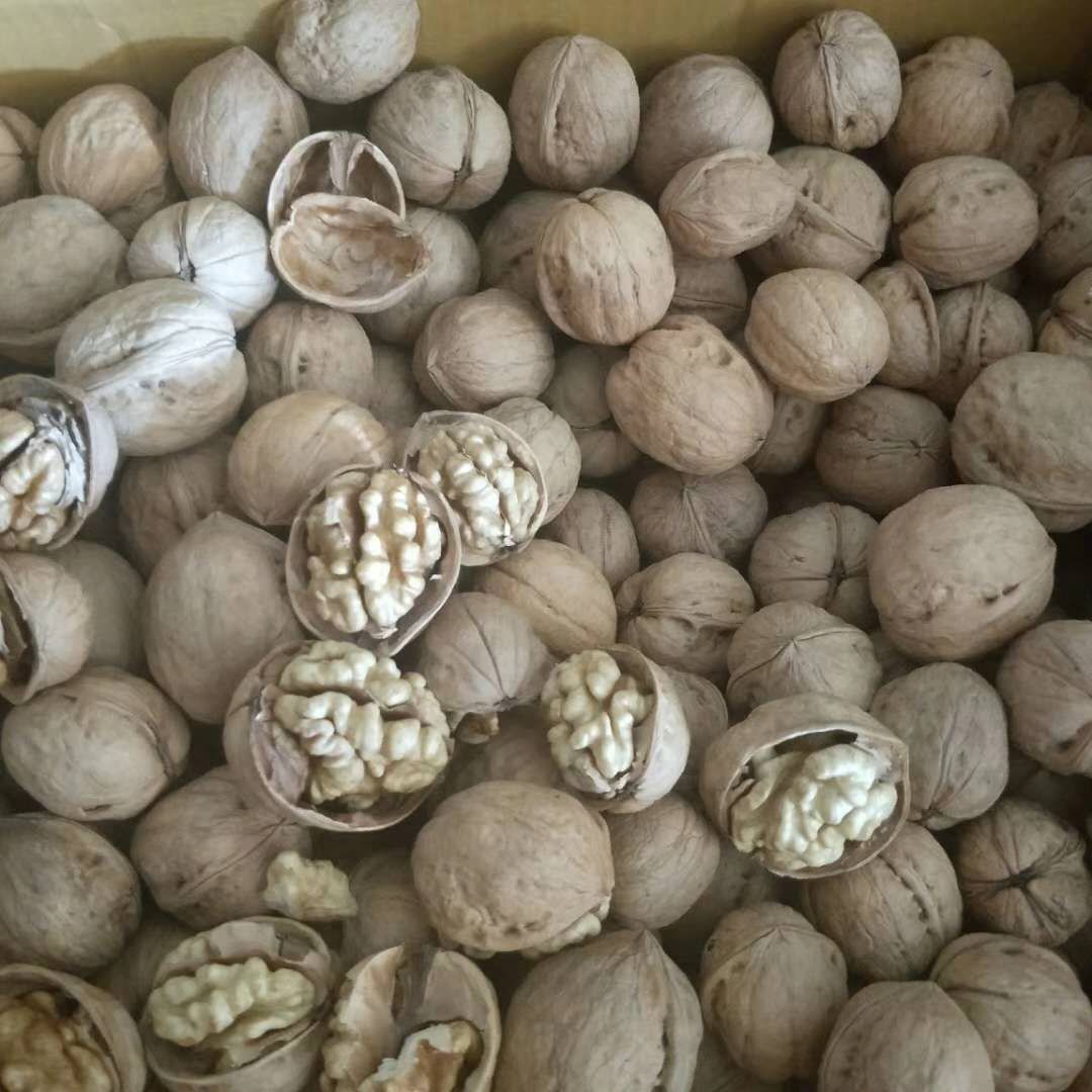 新货新疆纸皮核桃薄皮核桃厂家直销批发一件代发