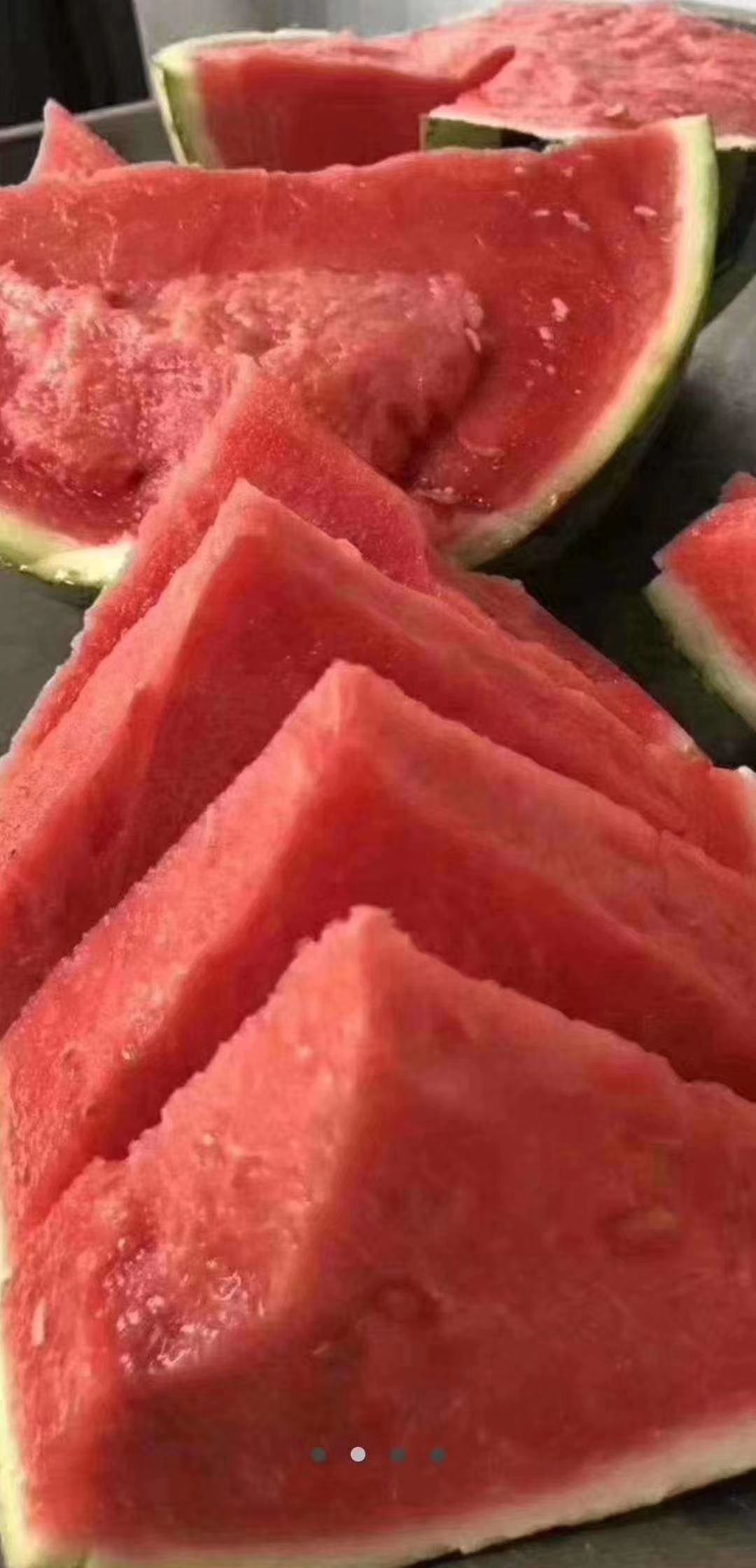 8424西瓜  夏邑大棚8424麒麟瓜美度