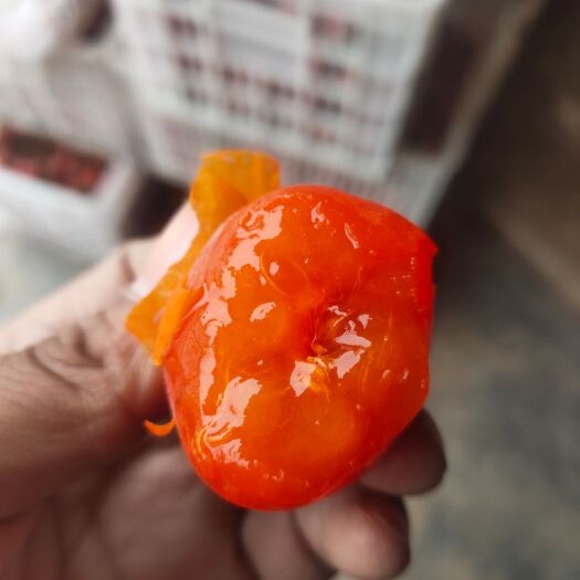 大荔县火晶柿子  陕西特产甜软柿子产地直销一件代发包邮