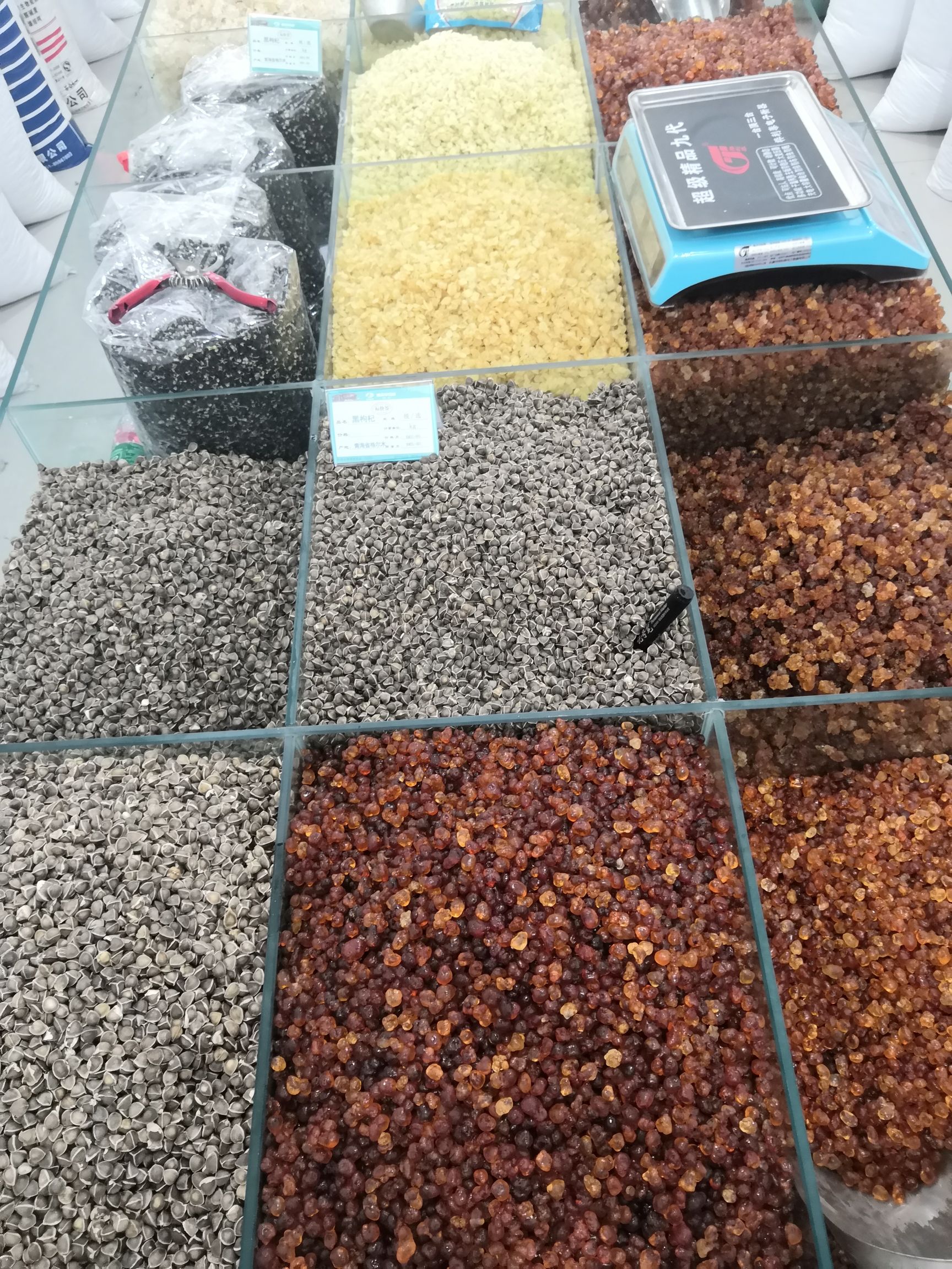 辣木籽 新货 各种规格 批发零售各种中药材