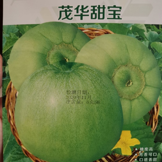 夏邑县茂华甜宝甜瓜种子，耐高温高湿，高甜爽口，口感风味佳