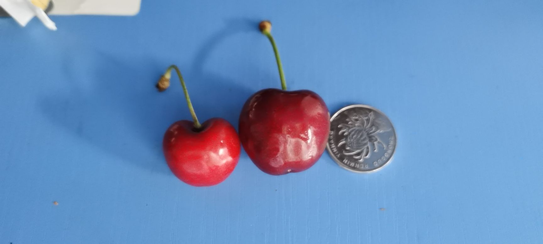 澳洲车厘子Cherry hill  智利车厘子心型铁盒包装 大中小规格详情咨询