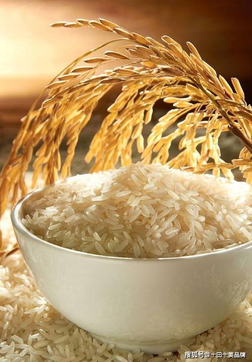 生态富硒长寿米产地直销积压过多低价甩卖 希望能帮我们度过难关