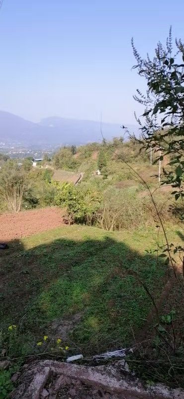慈利县山地  农村土地流转，菜地，高山熟地，旱地出租，耕地寻求合作