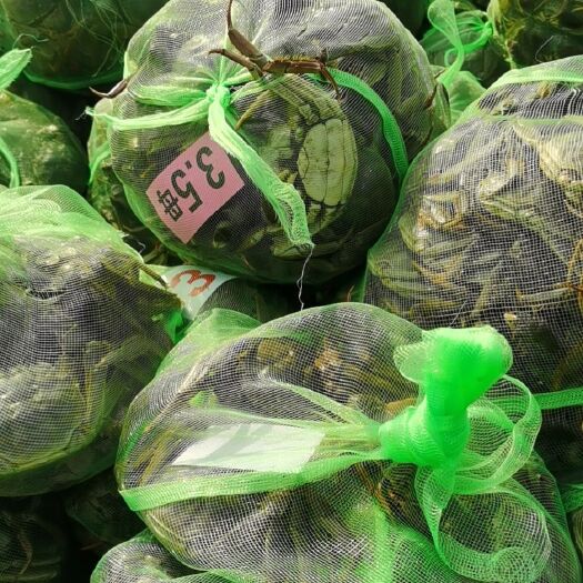 阜宁县盐城生态大闸蟹  需要的联系我