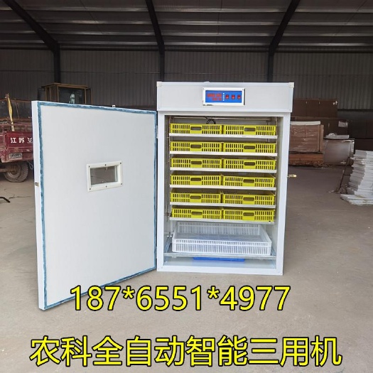 德州养殖孵化机  孵化机全自动智能大型孵化机鸡鸭鹅鸽子孵蛋器小型家用孵化箱