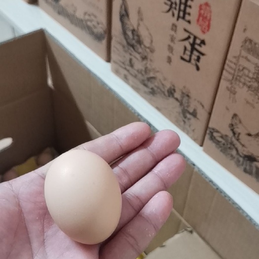 东兰县土鸡蛋 食用 箱装