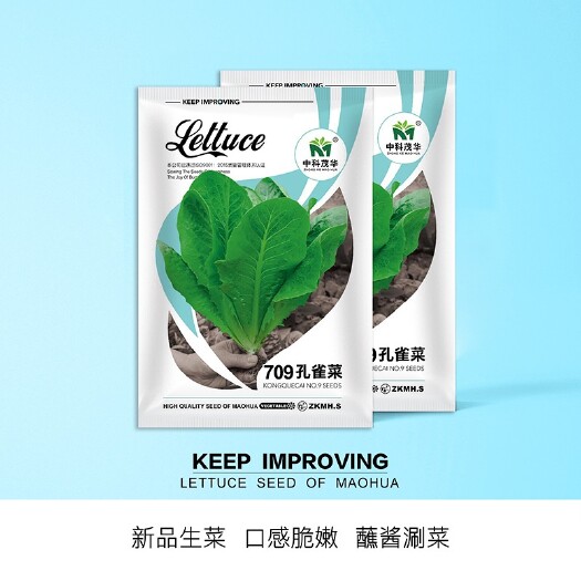 709孔雀菜生菜种子，外形美观，生长快速，口感脆嫩，耐抽苔