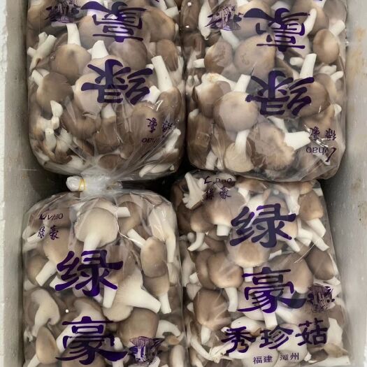 晋江市秀珍菇 