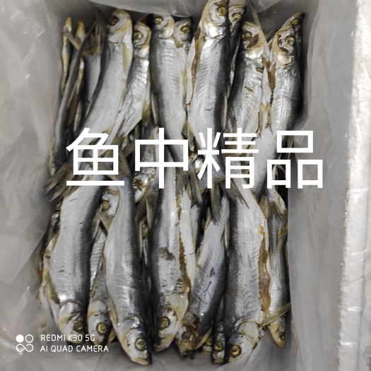 鄱阳县餐条刁子鱼干，白翘，白肖