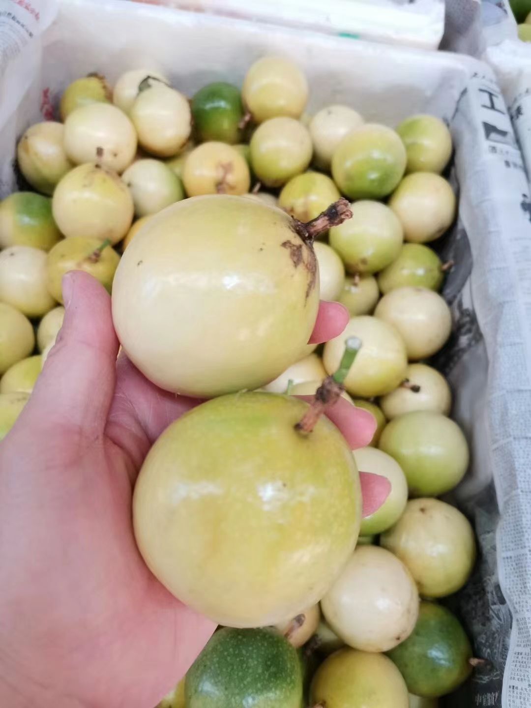 黄金百香果芭乐味产地直供，纯甜口感好一手货源，价格便宜