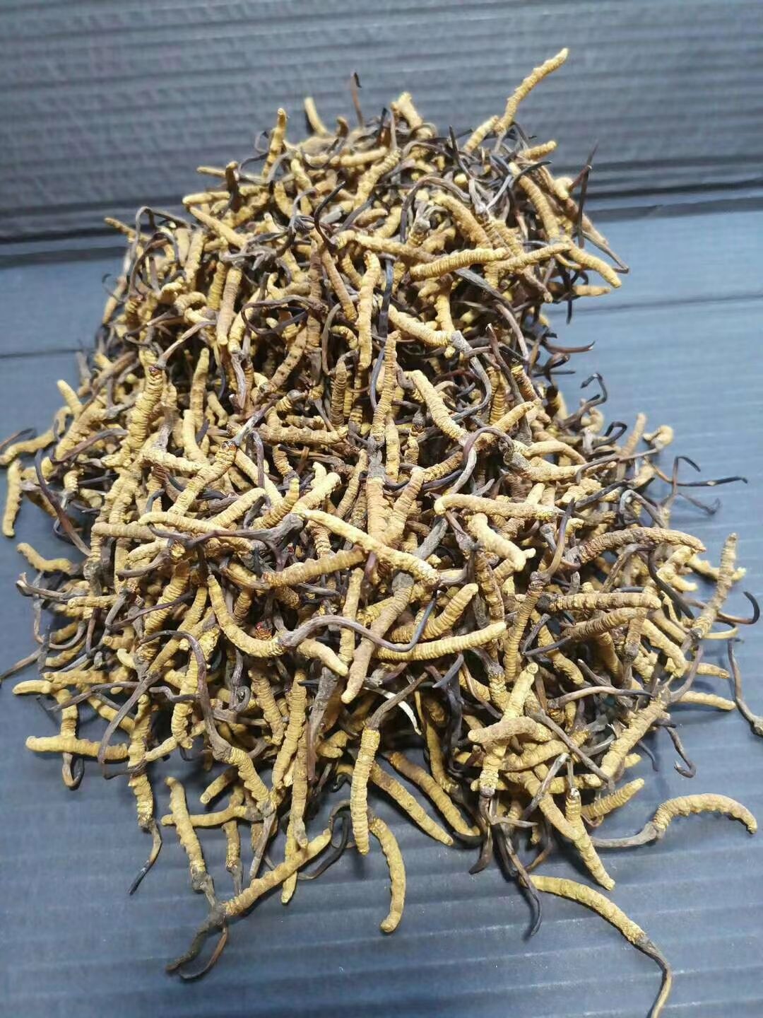 冬虫夏草  玉树2500条精选  全国包邮