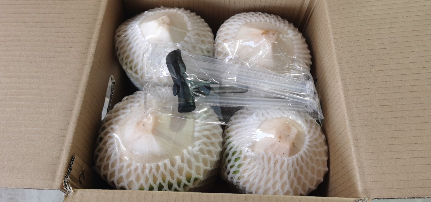 高种椰子  【顺丰包邮】精选特级果海南椰青