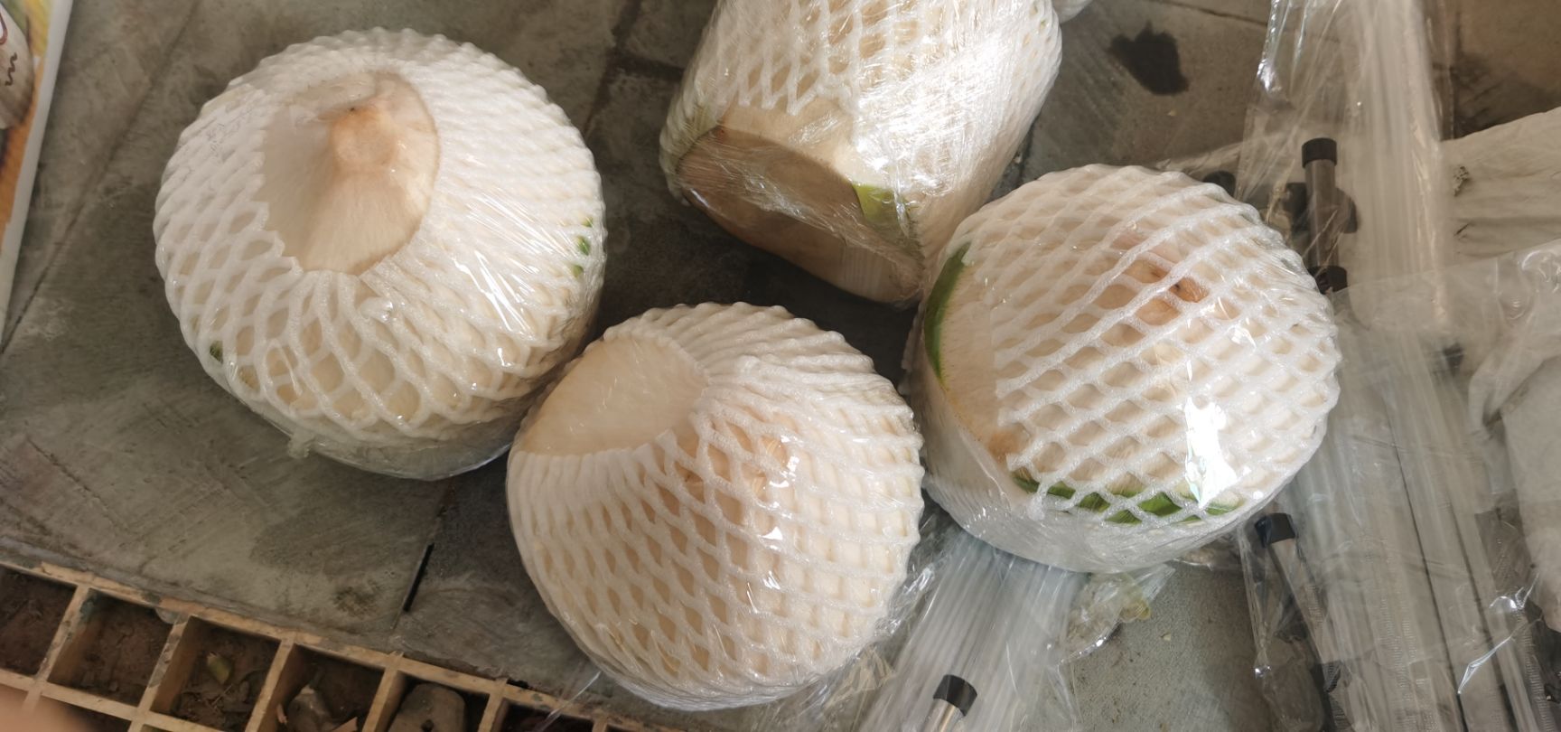 高种椰子  【顺丰包邮】精选特级果海南椰青