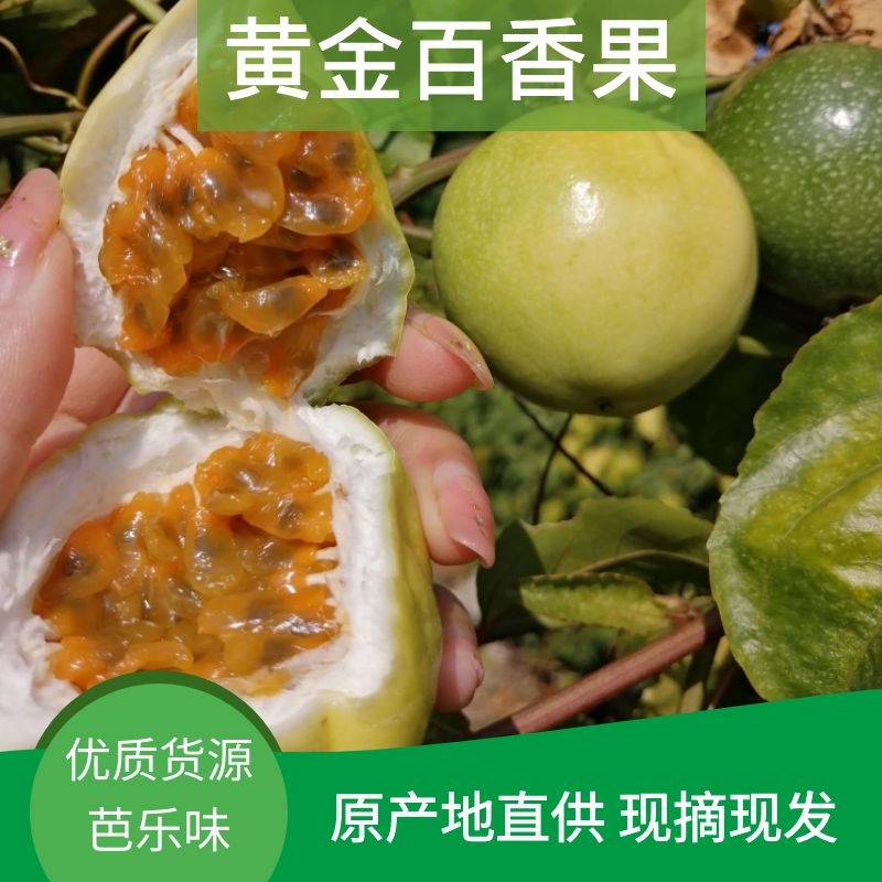 黄金百香果芭乐味产地直供，纯甜口感好一手货源，价格便宜