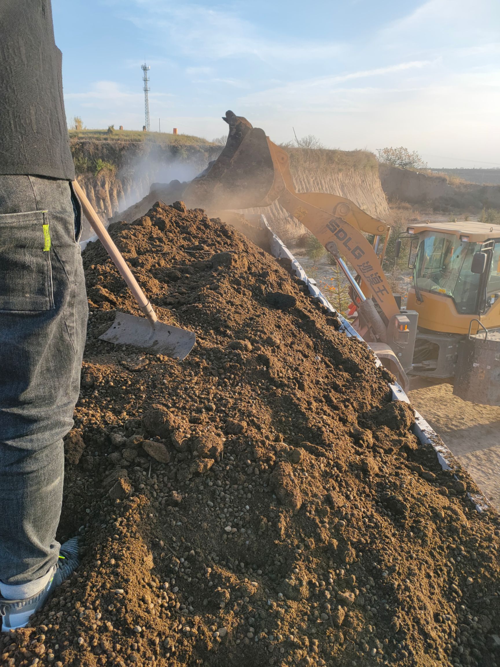  本公司常年出售发酵纯羊粪