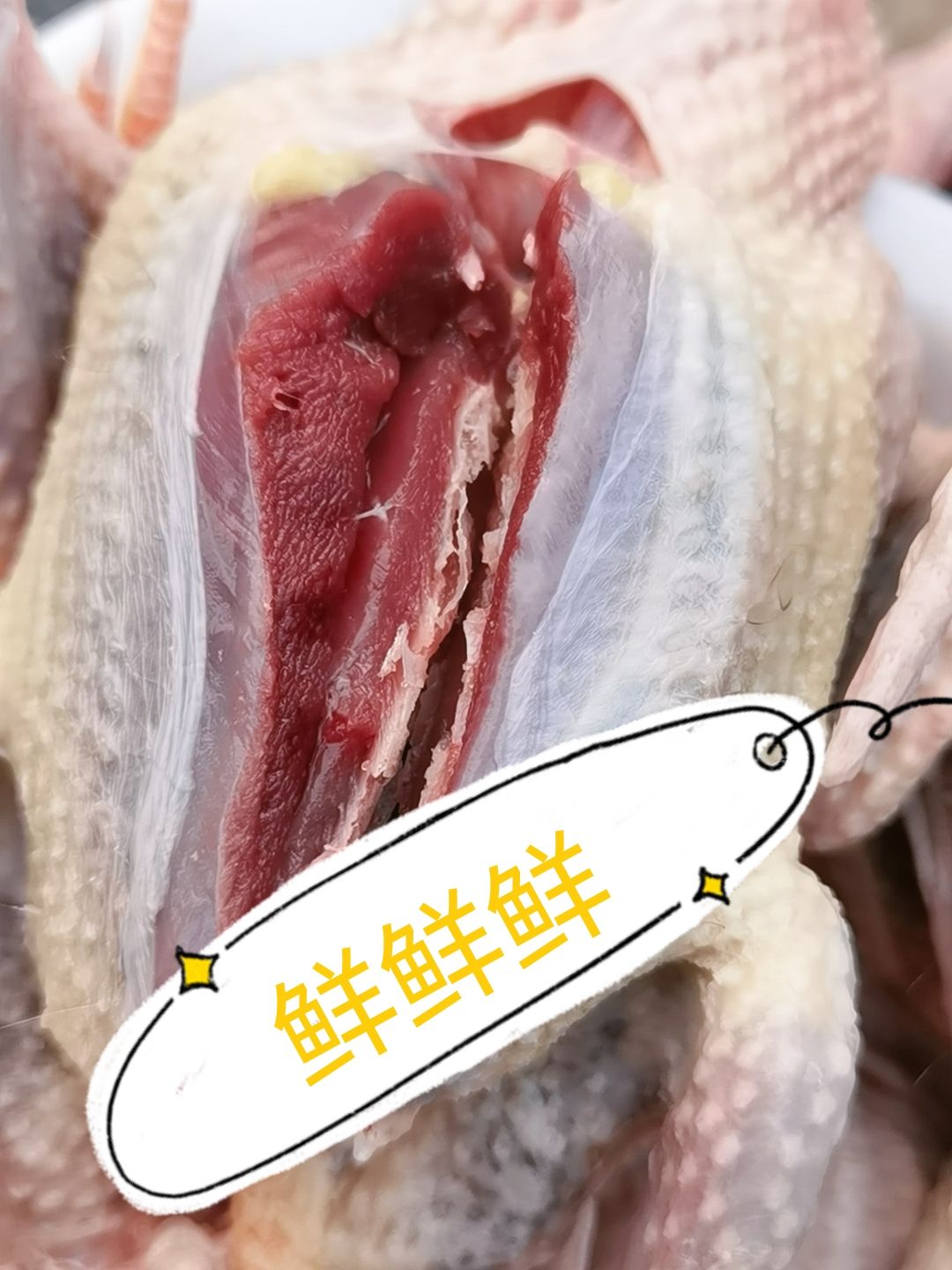 乳鸽  新鲜 350—400g