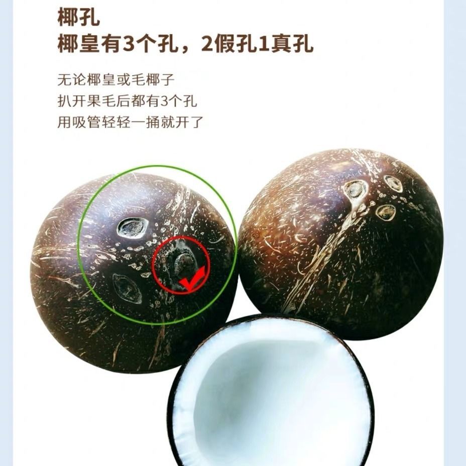 高种椰子  【顺丰包邮】精选特级果海南椰青