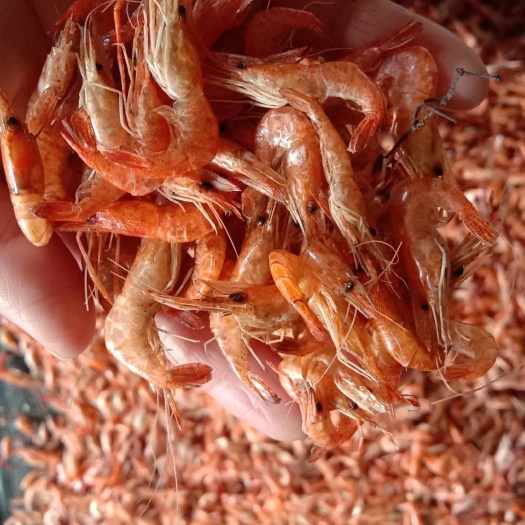 烤虾干烤青虾大烤虾大虾红虾新鲜红亮