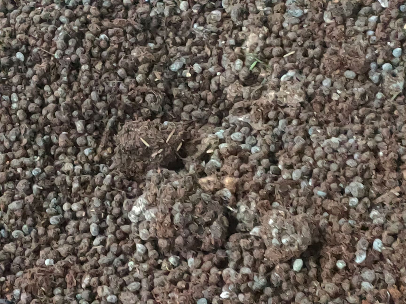  本公司常年出售发酵纯羊粪