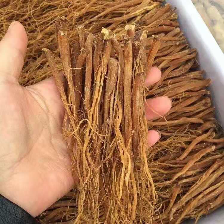 长白山中药材无糖红参大丁须，纯正质量，100一斤包邮到家