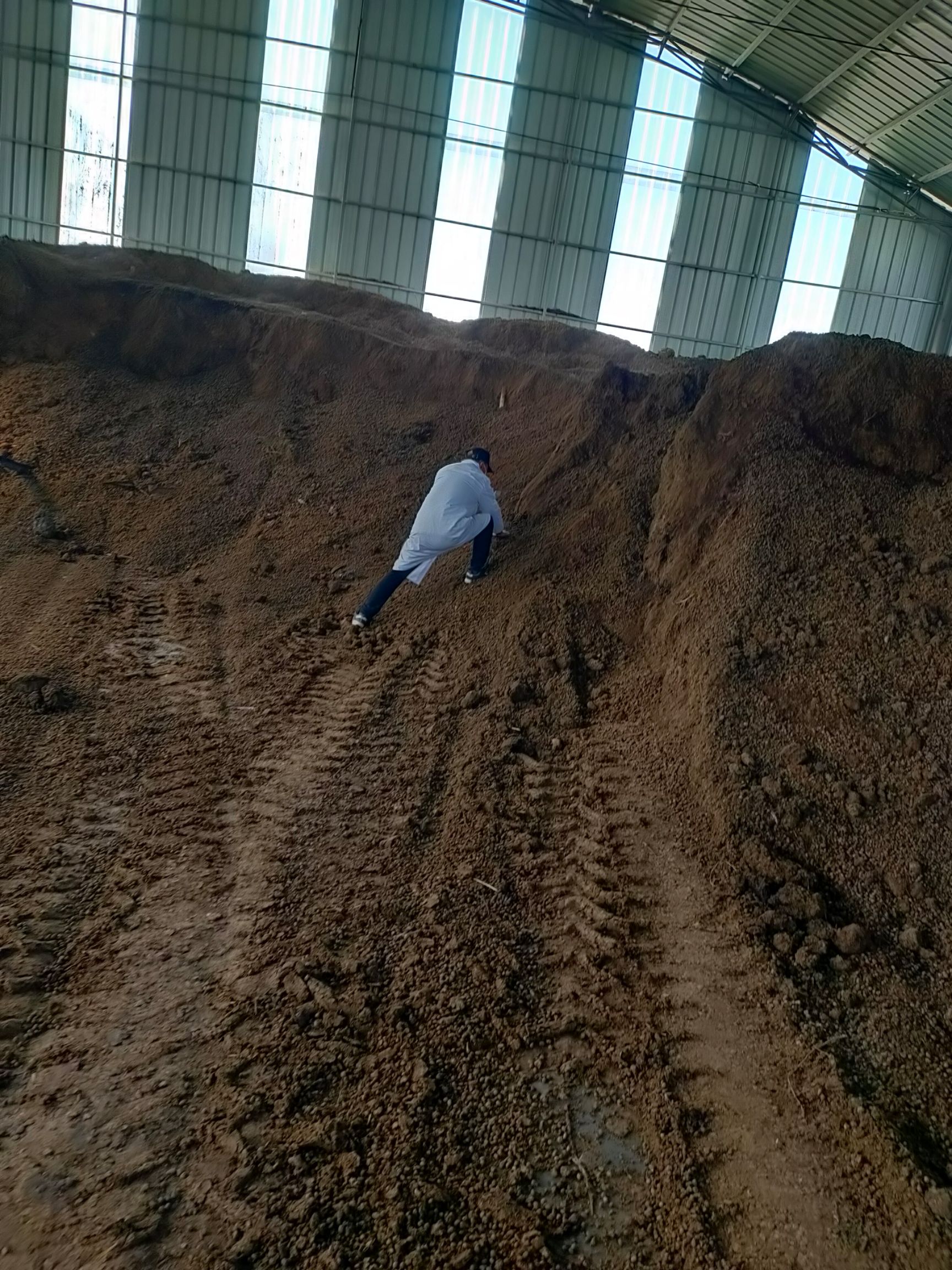  本公司常年出售发酵纯羊粪