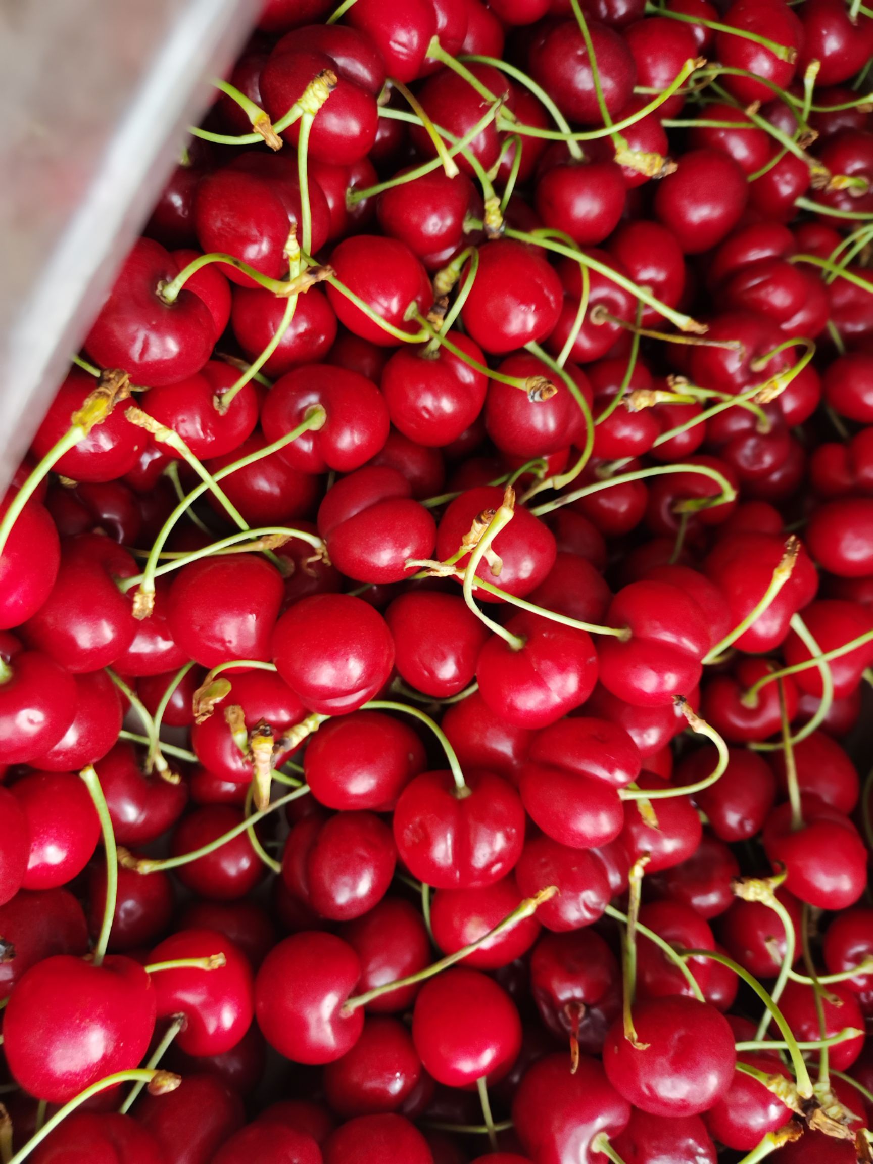 澳洲车厘子Cherry hill  海运智利 车厘子L级（10斤一箱）