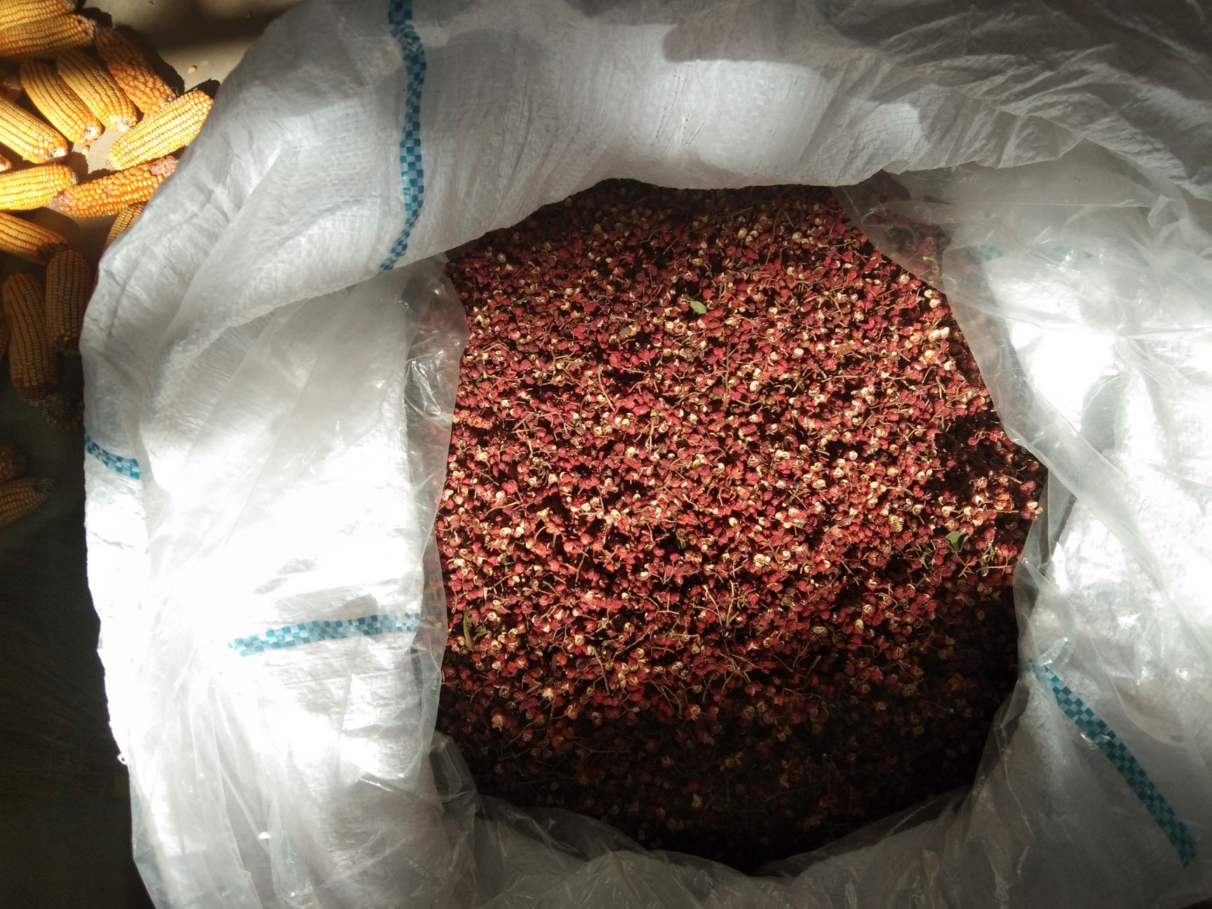 大黑豆 黑豆十有机花椒