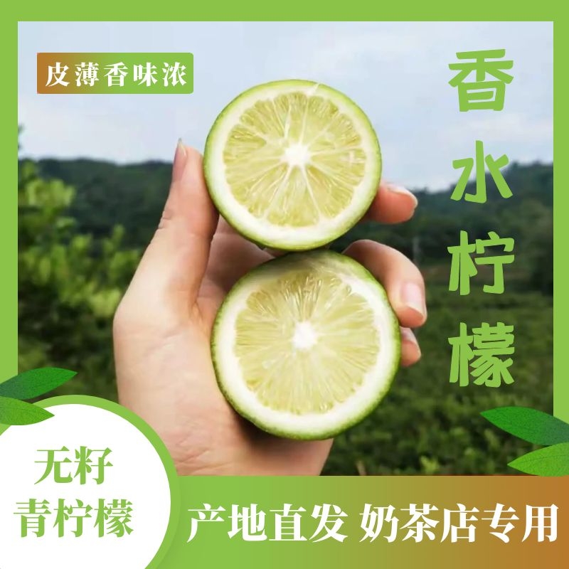 广东香水柠檬无籽一级青果
老树果香味浓郁皮薄