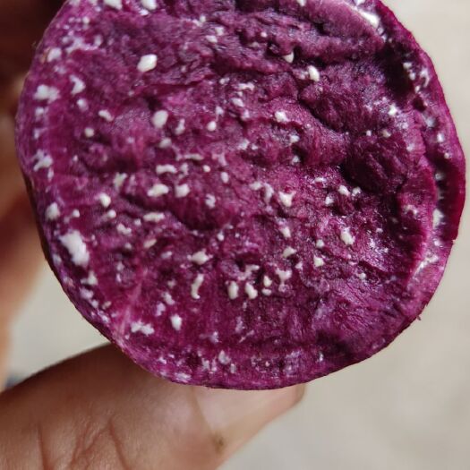 紫薯  建水县凌紫电商货加工薯需要联系