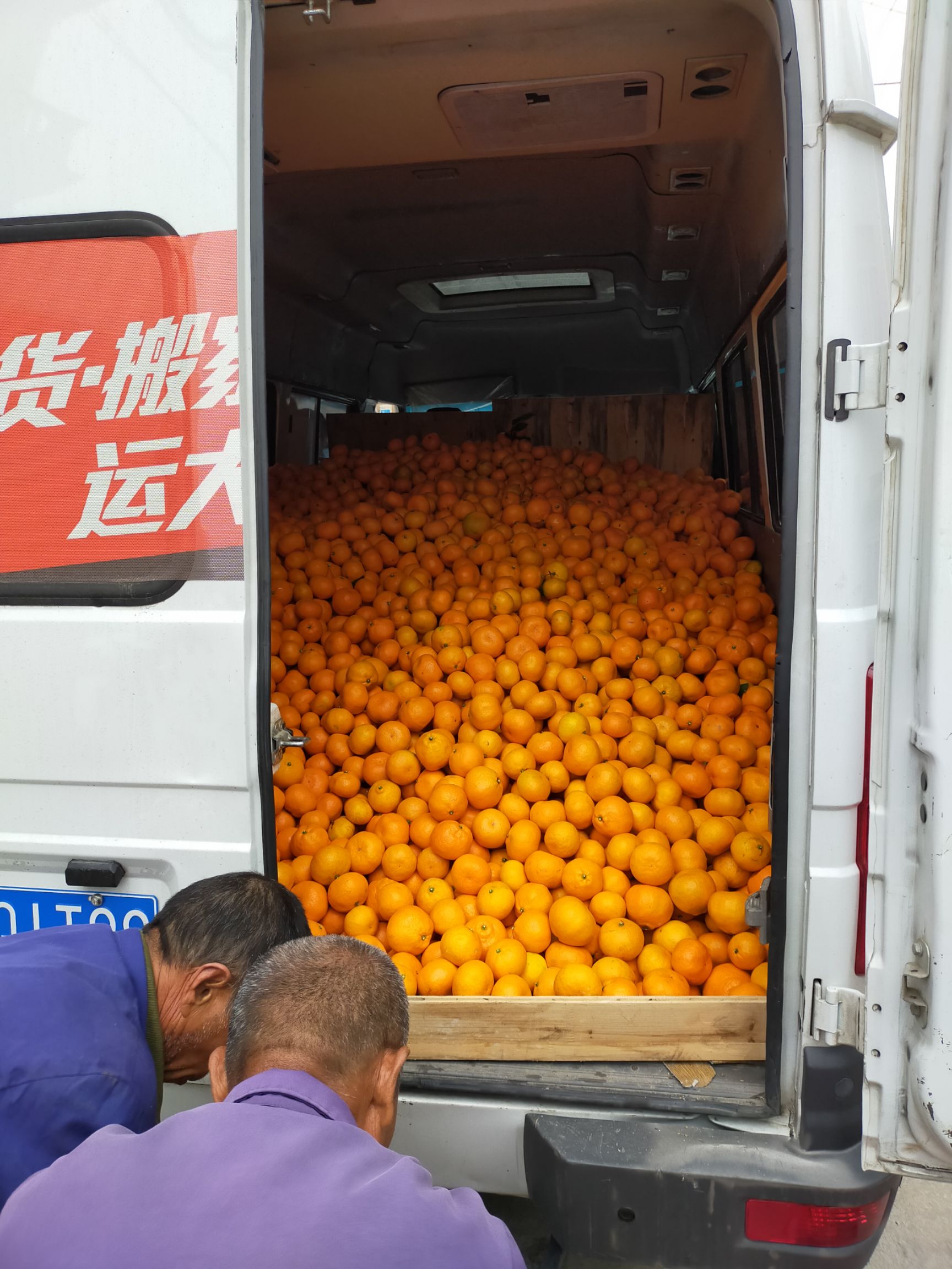 黄岩蜜桔 宫川早橘不多了，需要的老板赶紧联系我们