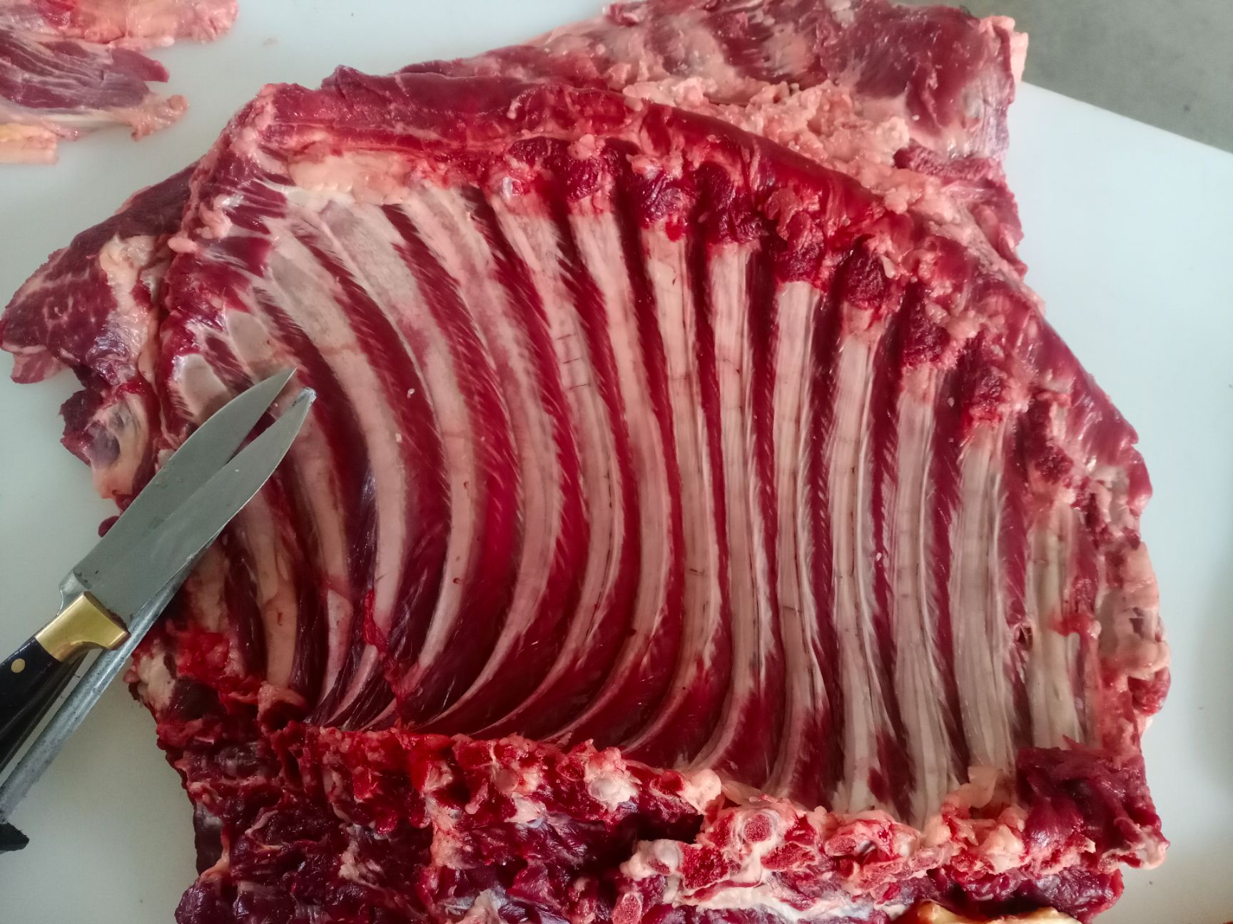 鲜马肉  马排，鲜马排，现杀带骨马排（带皮去皮都有）精修去油，纯干货。