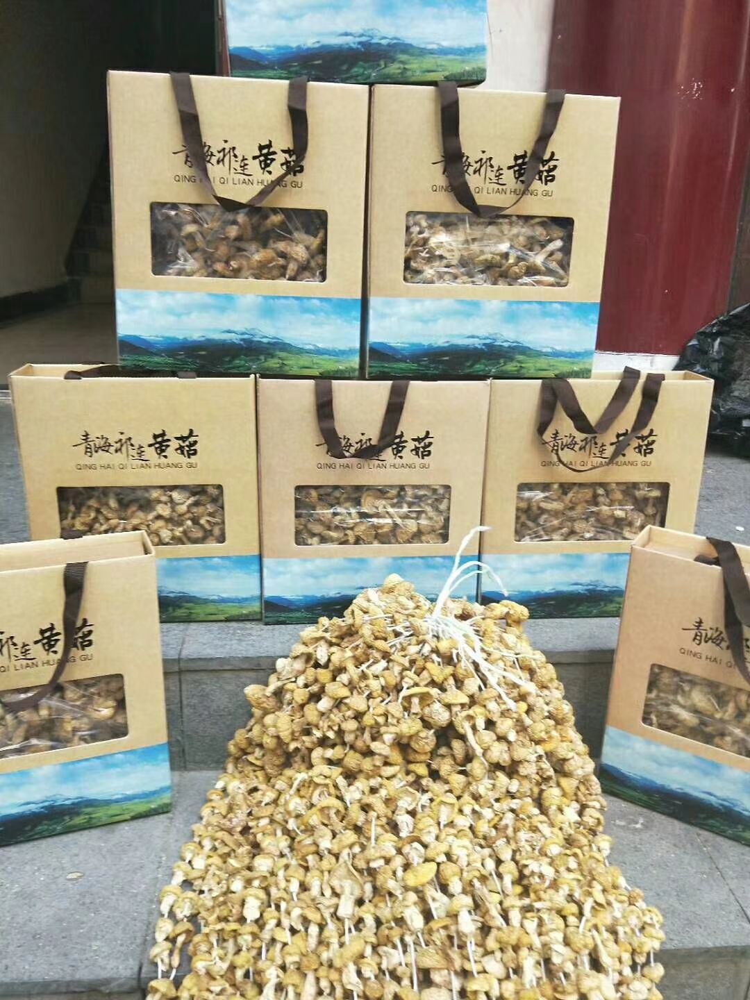 蘑菇  青海祁连野 生精品黄菇 全国包邮