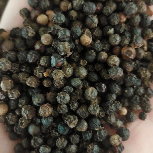 东莞市 越南黑胡椒5两8，6两，7两