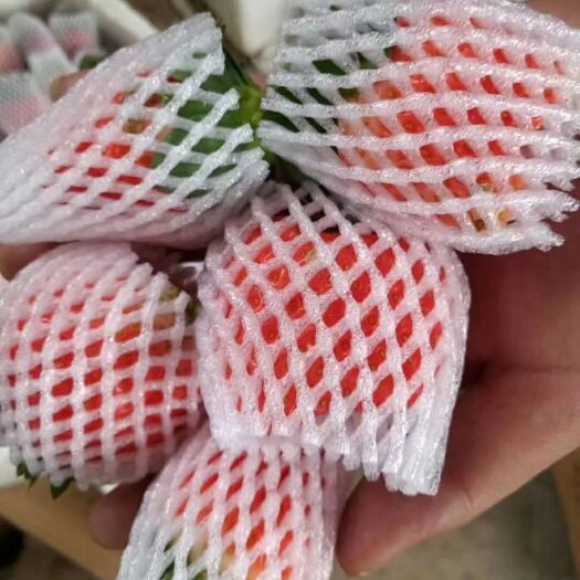 德昌县草莓降价啦，需要的来啦，电商微商一件代发
