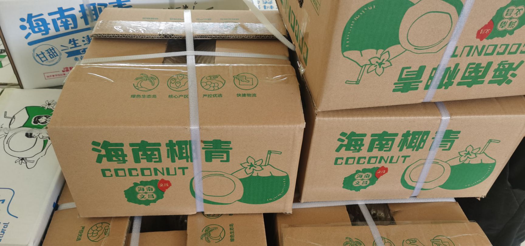 高种椰子  【顺丰包邮】精选特级果海南椰青