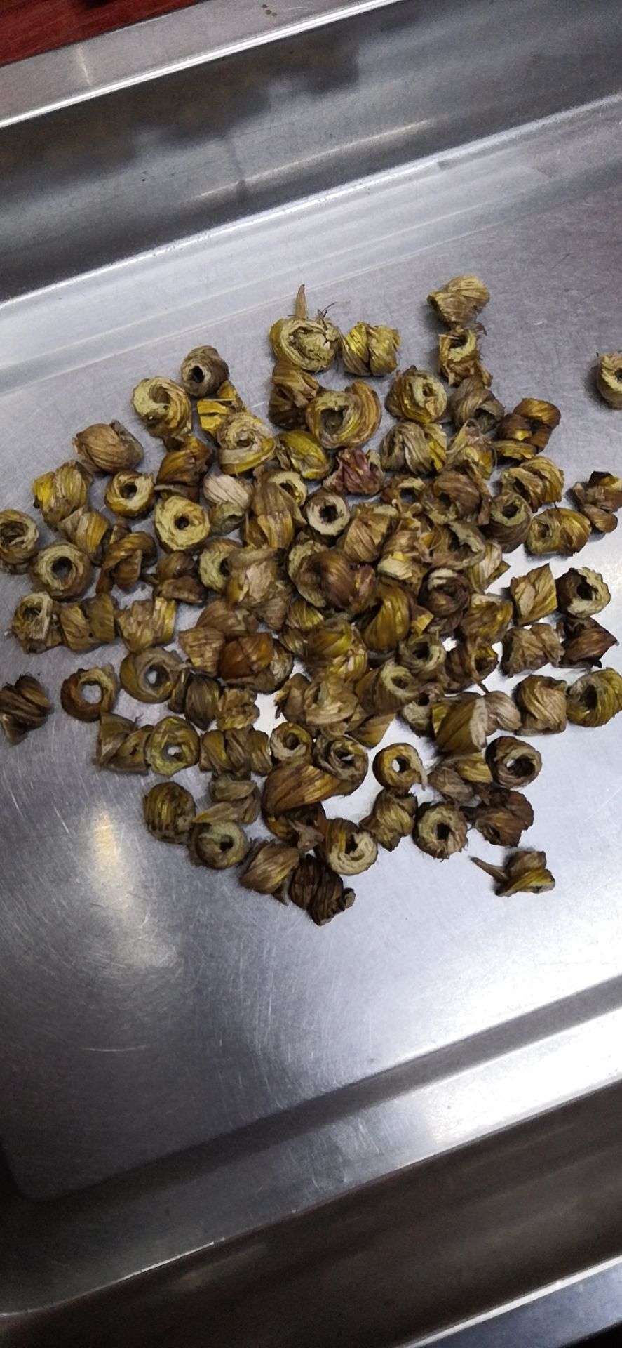 马鞭石斛  干货 各种规格 药食两用